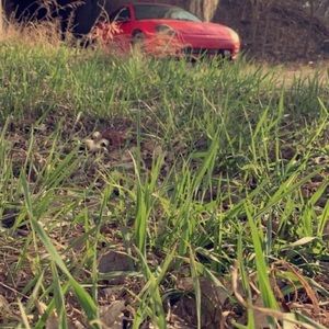 Meet your Posher, Holden